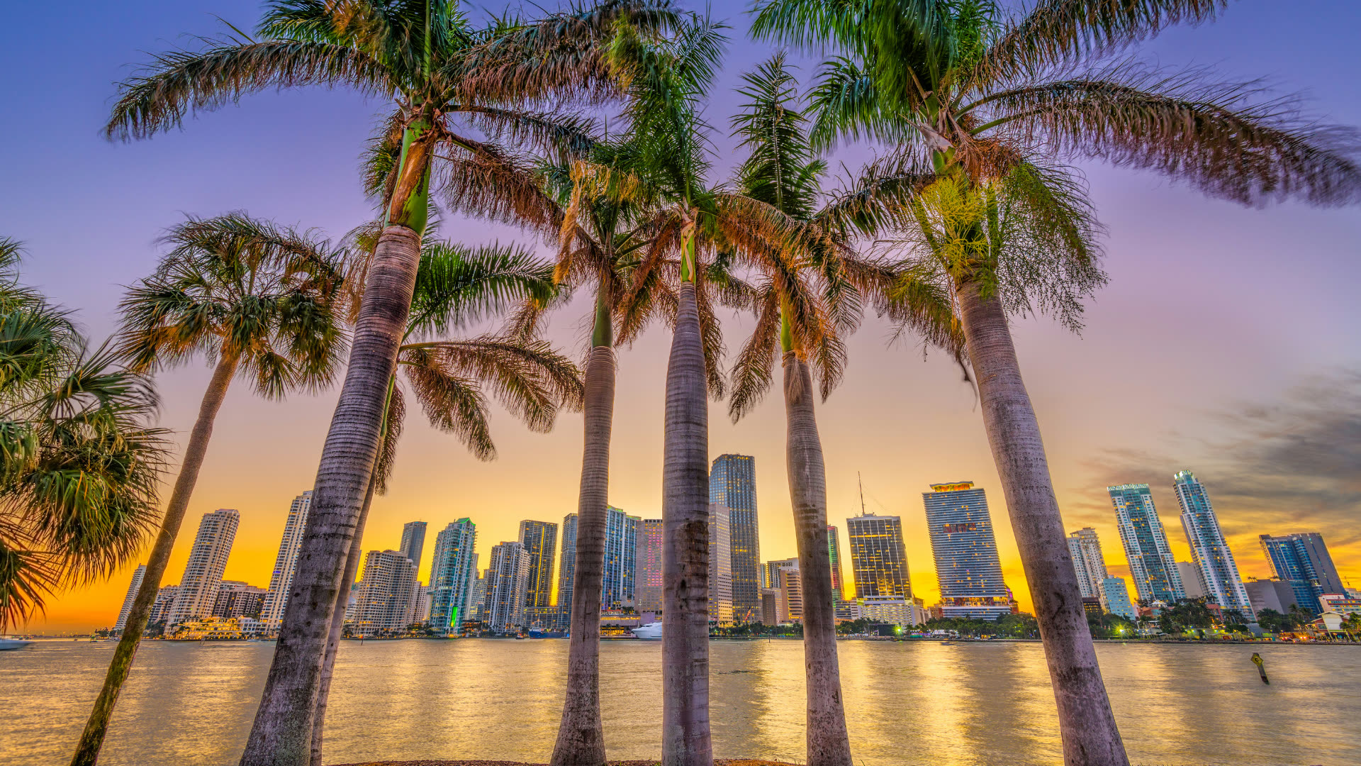 Miami skyline at golden hour